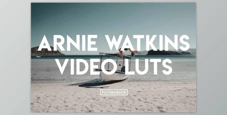 Download Arnie Watkins Video LUTs