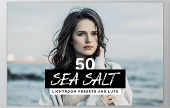 Download 50 Sea Salt Lightroom Presets <span class='badge badge-warning'>LUTs</span>