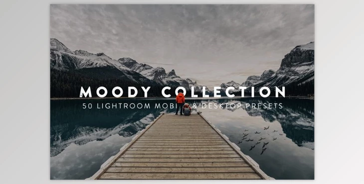 Download 50 Moody Lightroom Presets and LUTs