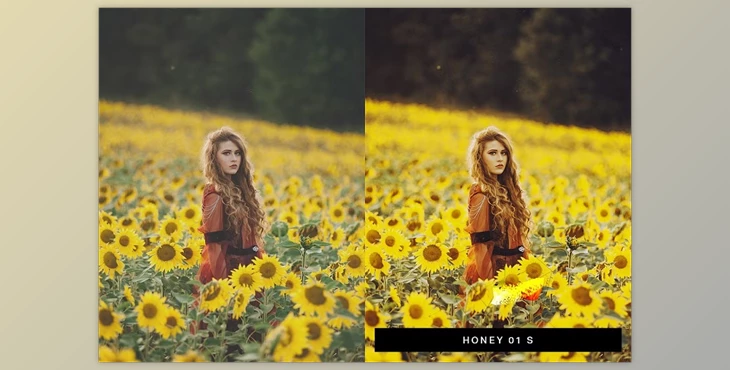Download 50 Moody Lightroom Presets and LUTs