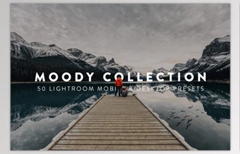 Download 50 Moody Lightroom <span class='badge badge-warning'>Presets</span> and LUTs