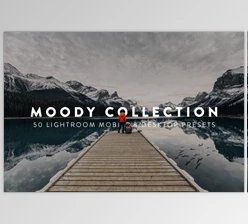 Download 50 Moody Lightroom Presets and LUTs