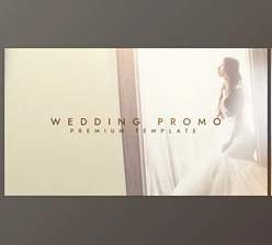 Download Wedding Promo (Videohive 25401543) - AE Project