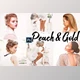 Download 09 Peach & Gold Photoshop Actions, ACR and LUT presets