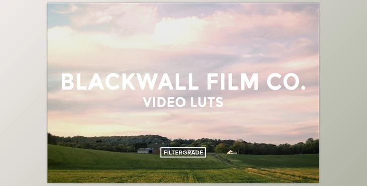 Download Blackwall Film Co. Video LUTs