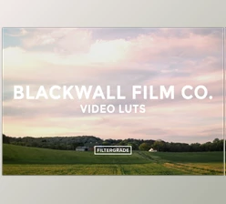 Download Blackwall Film Co. Video LUTs