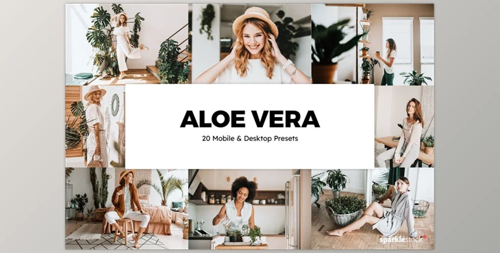 Download 20 Aloe Vera Lightroom Presets & LUTs CreativeMarket-5861842 (XMP, PNG, DNG)
