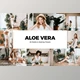 Download 20 Aloe Vera Lightroom Presets & LUTs CreativeMarket-5861842 (XMP, PNG, DNG)