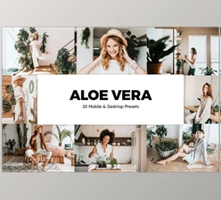 Download 20 Aloe Vera Lightroom Presets & LUTs CreativeMarket-5861842 (XMP, PNG, DNG)