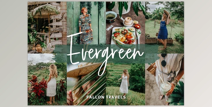 Download Evergreen Lightroom Mobile Presets CreativeMarket-5017153 (DNG)