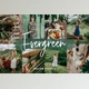 Download Evergreen Lightroom Mobile Presets CreativeMarket-5017153 (DNG)