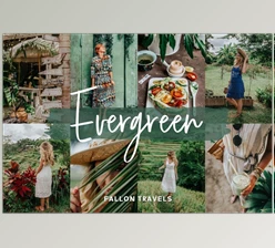 Download Evergreen Lightroom Mobile Presets CreativeMarket-5017153 (DNG)