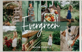 Download <span class='badge badge-warning'>Evergreen</span> Lightroom Mobile Presets CreativeMarket-5017153 (DNG)