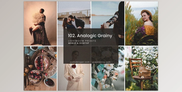 Download 102. Analogic Grainy Presets CreativeMarket-5158850 (DNG, XMP)