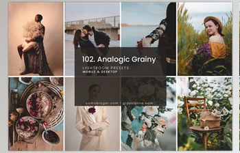 Download 102. Analogic Grainy <span class='badge badge-warning'>Presets</span> CreativeMarket-5158850 (<span class='badge badge-warning'>DNG</span>, XMP)