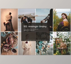 Download 102. Analogic Grainy Presets CreativeMarket-5158850 (DNG, XMP)