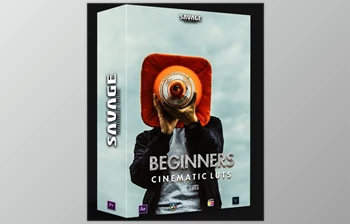 Download SAVAGELUTS – BEGINNER LUTS - <span class='badge badge-warning'>PACK</span>