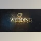 Download Wedding (Videohive 22032085) - AE Project