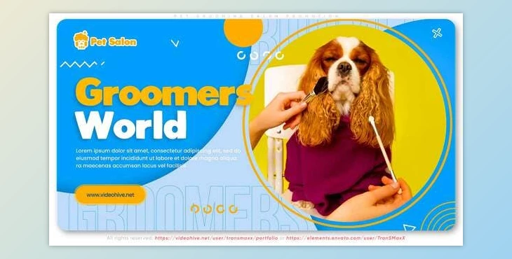 Download Pet Grooming Salon Promotion (Videohive 30723694) - AE Project