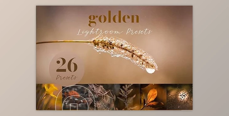 Download Golden Lightroom Presets CreativeMarket-5805936 (XMP)