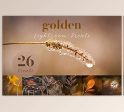Download Golden Lightroom Presets CreativeMarket-5805936 (XMP)