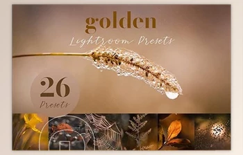 Download Golden Lightroom Presets CreativeMarket-5805936 (<span class='badge badge-warning'>XMP</span>)