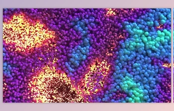 Download Colorful Waving Spheres <span class='badge badge-warning'>Apple</span> ProRes 422 (<span class='badge badge-warning'>Videohive</span> 26210462)