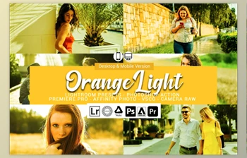 Download Orange Light <span class='badge badge-warning'>Presets</span> CreativeMarket-5698212