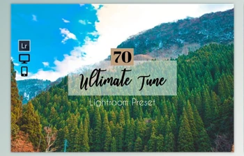 Download 81 <span class='badge badge-warning'>Ultimate</span> Tune Lightroom Presets