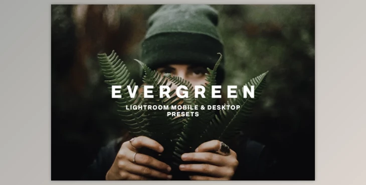 Download EVERGREEN LIGHTROOM PRESETS