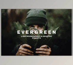 Download EVERGREEN LIGHTROOM PRESETS