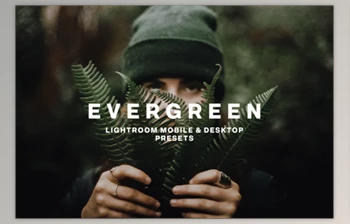 Download <span class='badge badge-warning'>EVERGREEN</span> LIGHTROOM PRESETS