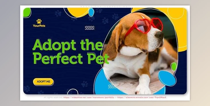 Download Adopt the Perfect Pet. Be a Hero! (Videohive 30388226) - AE Project