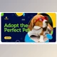 Download Adopt the Perfect Pet. Be a Hero! (Videohive 30388226) - AE Project