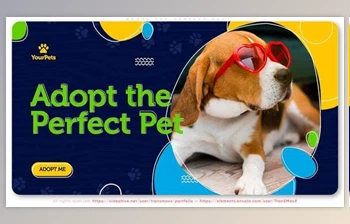 Download Adopt the Perfect <span class='badge badge-warning'>Pet</span>. Be a Hero! (Videohive 30388226) - AE Project