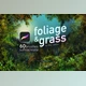 Download 60 Foliage & Grass Procreate brushes CreativeMarket-5760856