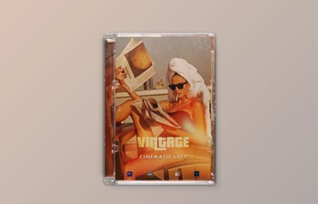 Download Savageluts – VINTAGE LUTS <span class='badge badge-warning'>PACK</span>