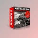 Download Art of Black & White: Lightroom by SergeRamelli