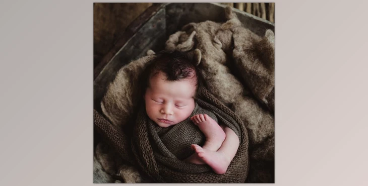 Download Twig & Olive – Photoshop CC Actions | Sleepy Matte