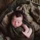 Download Twig & Olive – Photoshop CC Actions | Sleepy Matte