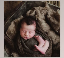 Download Twig & Olive – Photoshop CC Actions | Sleepy Matte
