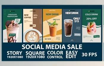 Download Social <span class='badge badge-warning'>Media</span> Sale (Videohive 31030240) - AE Project
