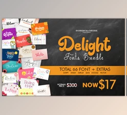 Download The Delight Fonts Bundle - Inkydeals