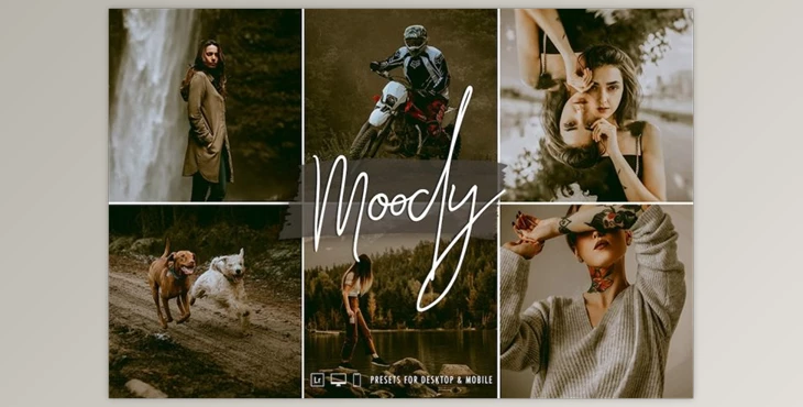 Download SignatureEdits – Moody Vibes Lightroom Collection