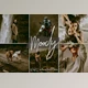 Download SignatureEdits – Moody Vibes Lightroom Collection