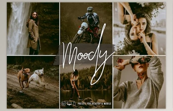 Download SignatureEdits – Moody Vibes <span class='badge badge-warning'>Lightroom</span> <span class='badge badge-warning'>Collection</span>