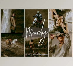 Download SignatureEdits – Moody Vibes Lightroom Collection