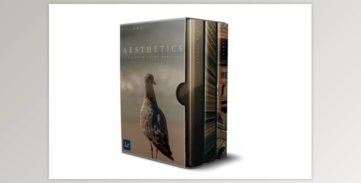 Download Sellfy – Aesthetics Color Profile Pack (XMP)