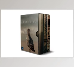 Download Sellfy – Aesthetics Color Profile Pack (XMP)