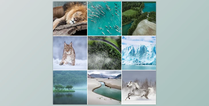 Download Phlearn – Vibrant Nature LUTs for Photo & Video